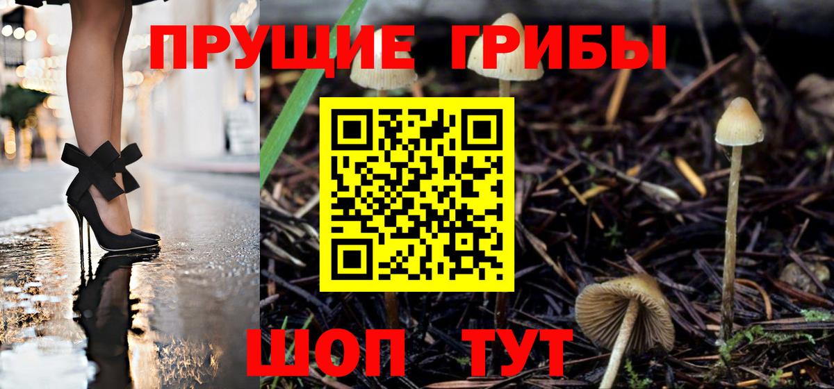 Галлюциногенные грибы Magic Shrooms  магазин    Королёв  Вход с VPN  Галлюциногенные грибы Magic Shrooms 