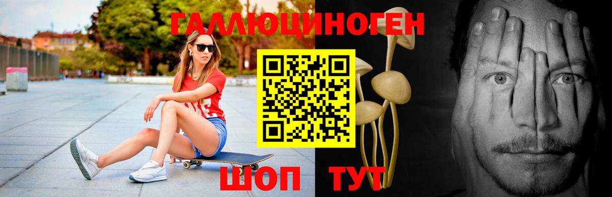 Галлюциногенные грибы Psilocybe Королёв