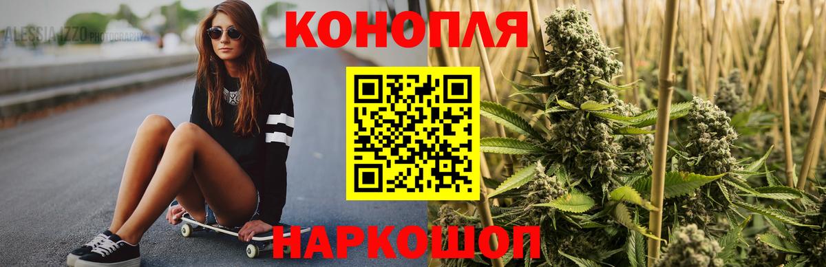 Марихуана планчик  Вход с VPN  Шишки марихуана SATIVA & INDICA  Королёв  Бошки марихуана сатива 